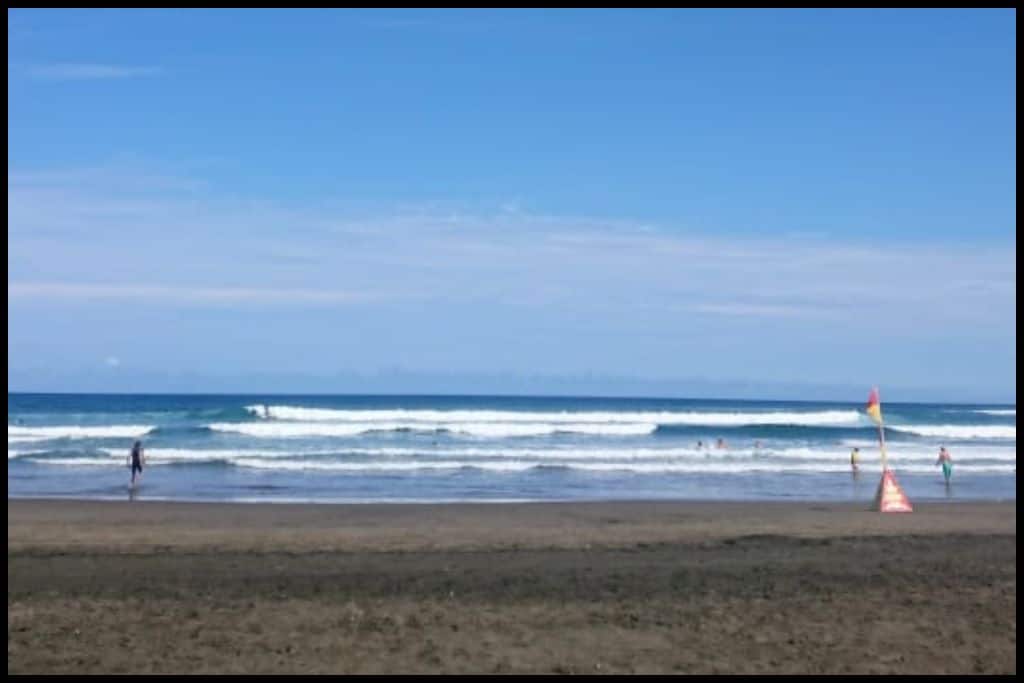 Muriwai Beach, with its black sand and rolling surf.