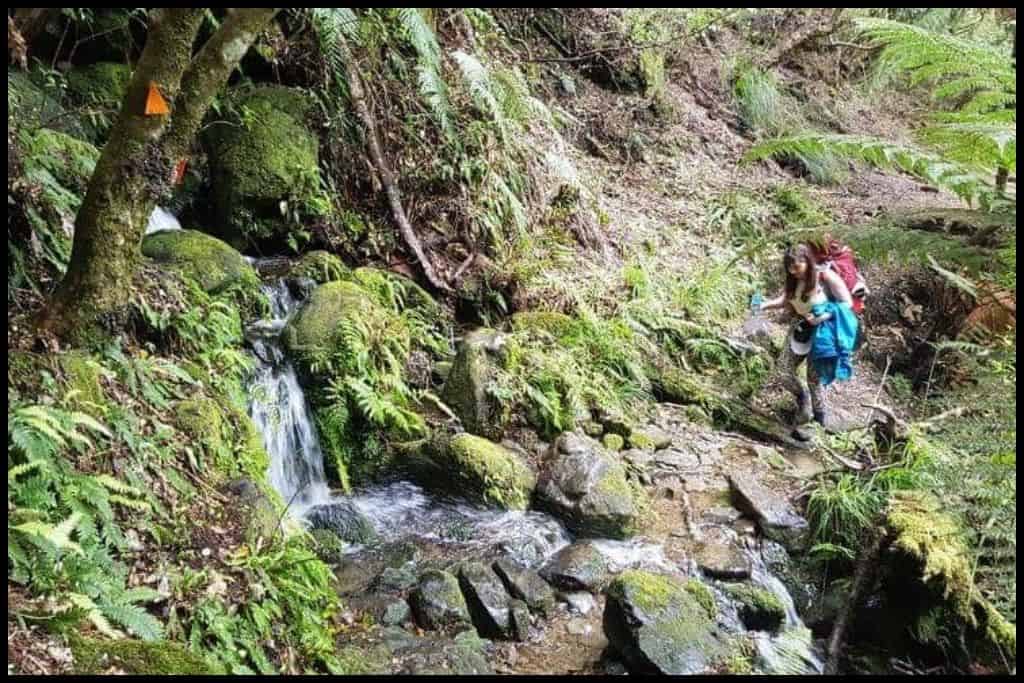 Author traverses over a stream on the Lake Waikaremoana Track.