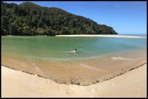 Author floats in the crystal clear waters of the Bark Bay Estuary of the Abel Tasman Coastal Track.