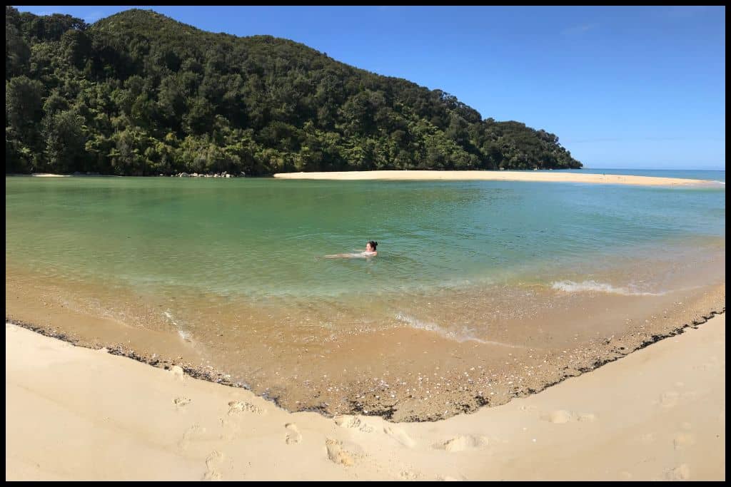 Author floats in the crystal clear waters of the Bark Bay Estuary of the Abel Tasman Coastal Track.