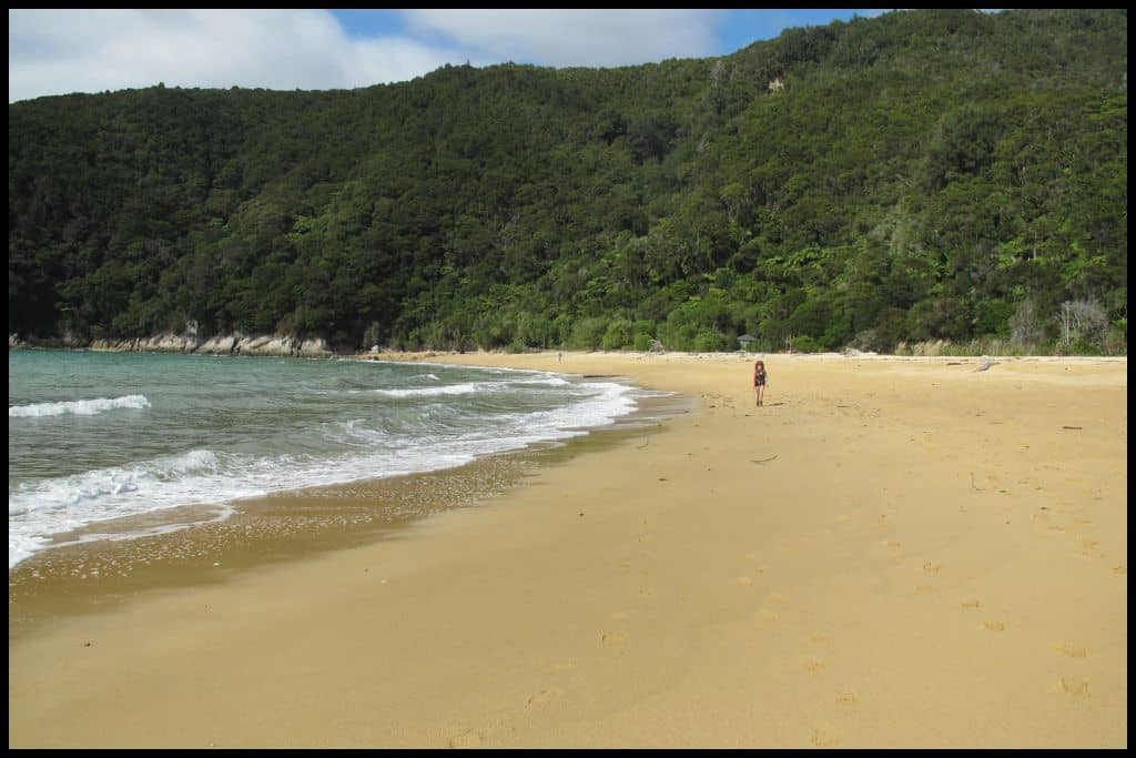 Author walks along the beach on day two of the Abel Tasman Coastal Track.
