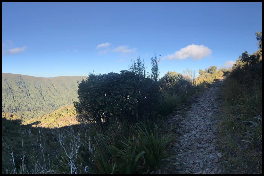 Late afrernoon sun streams over the valley as the Paparoa Track trail climbs up and around to the right.