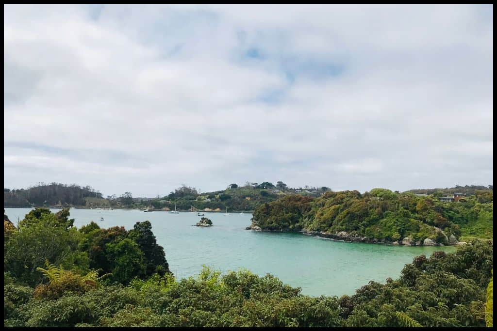 A scenic shot of green waters and green native bush surrounding Horseshoe Bay, Stewart Island.