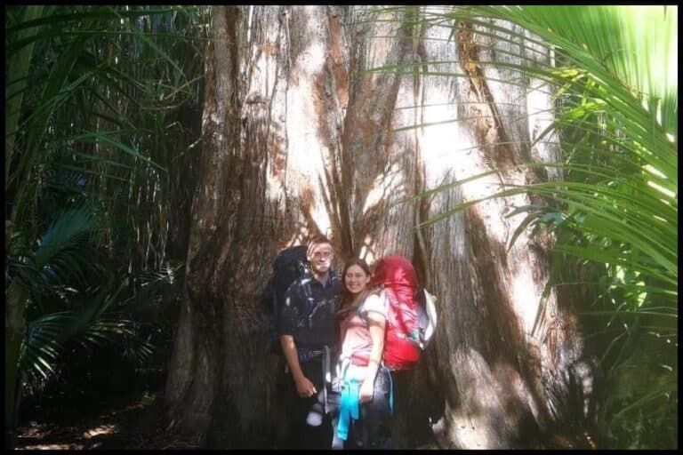 Making a Heaphy Track Booking