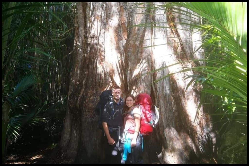 Young couple stand in front of a rātā tree trunk, triple the size of both of them, in girth.