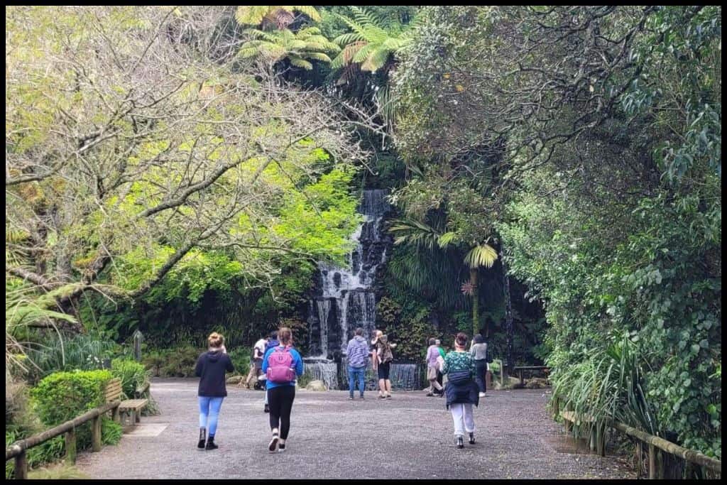 Several people recede away from the camera down the wide pathway with Pukekura Falls visible at the end, underneath low hanging trees.