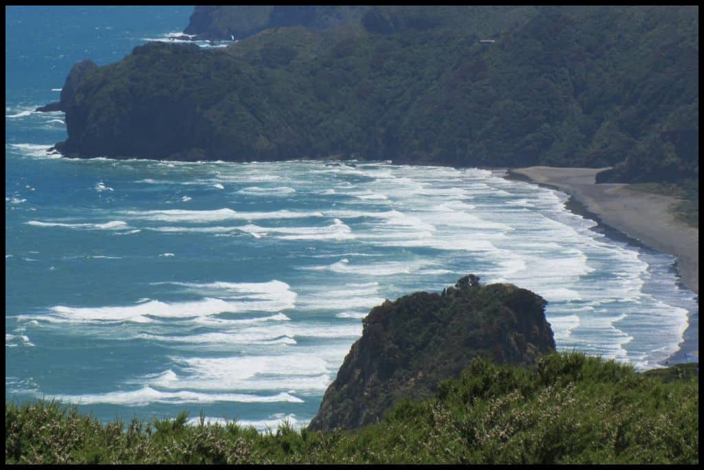 Blue surf rolls into North Piha Beach. Photo taken from up on Lion Rock.