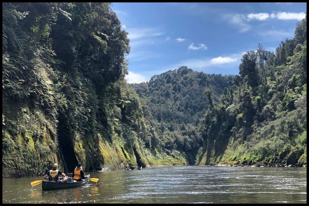 A double canoe floats away from the camera through the gorges on the Whanganui River.