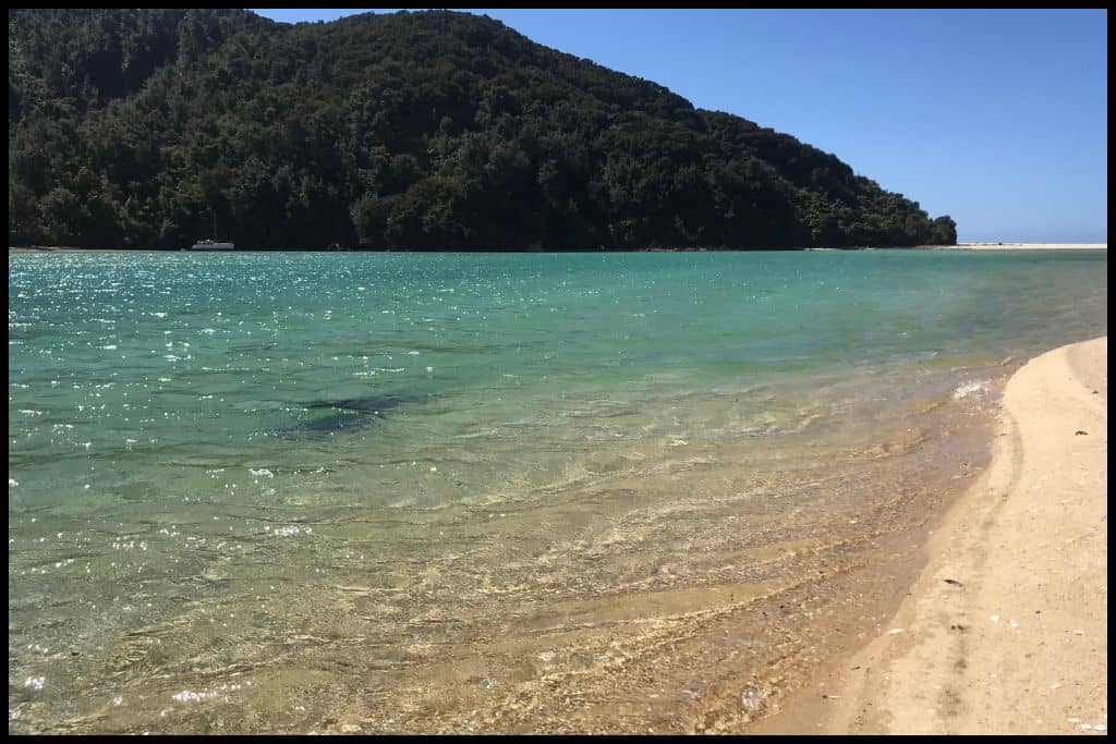 Crystal clear turquoise water laps onto the golden sand of the Barks Bay Estuary in Abel Tasman National Park.
