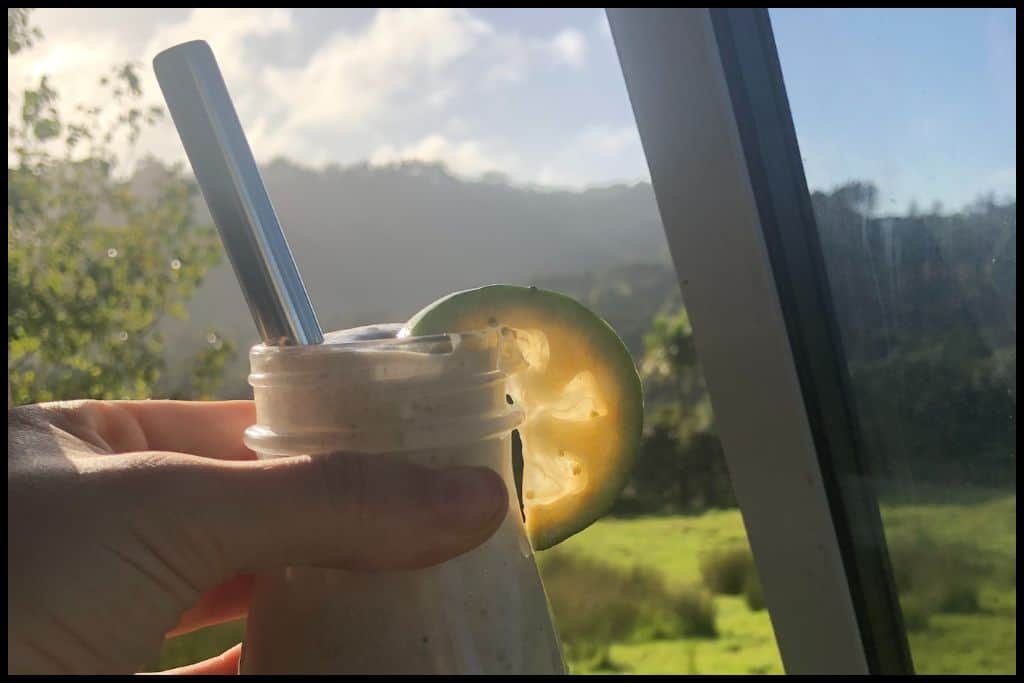 A feijoa smoothie in a mason jar held up against a countryside background with a slice of feijoa adorning the rim of the jar.