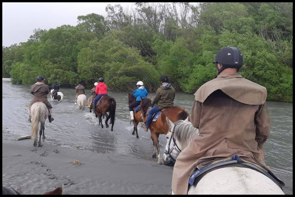 Eight horse and riders lead in front of the photographer's horse, into the Dart River.