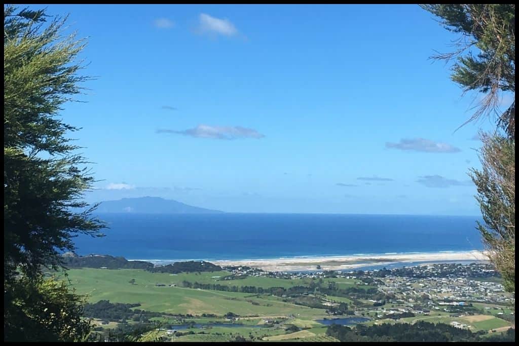 Photo is framed by foliage in the foreground and vast, blue Langs Beach in the background.