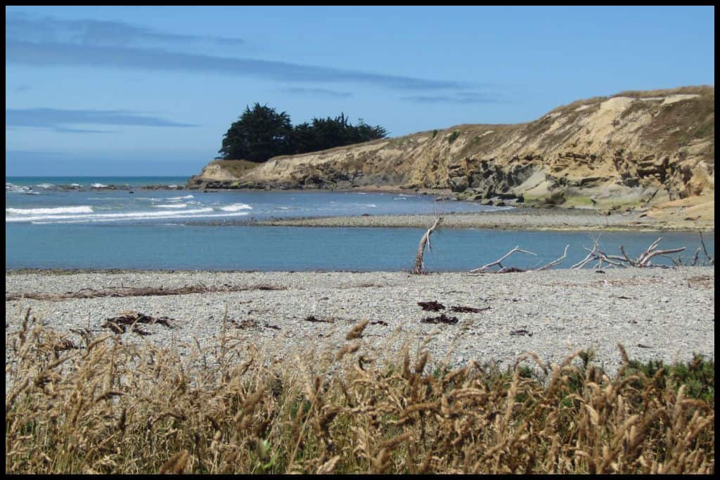 Driftwood and grass frame a shot of the surf meeting the Waianakarua river mouth.