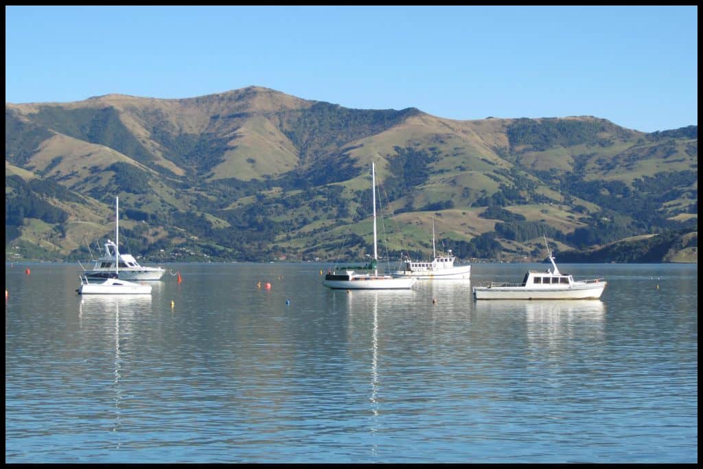 Boats moored in the quiet little Akaroa Harbour.