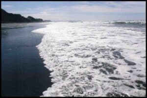 White waves foam onto black, glistening sand.