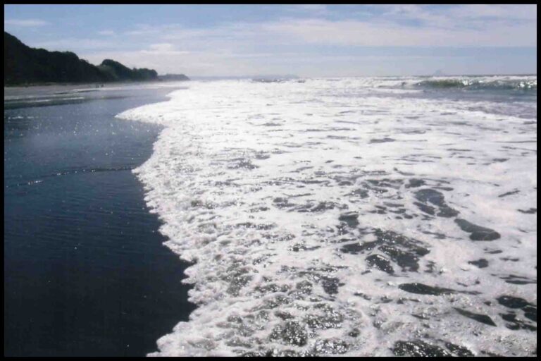 Where Are The Best Beaches In Hawkes Bay, New Zealand?