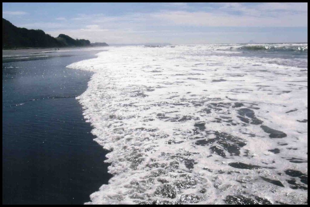 White waves foam onto black, glistening sand.