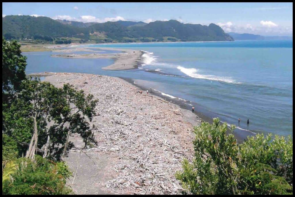 Driftwood and ocean, sandbars and inlets, foliage in the foreground, and people down below, in the sea.
