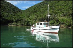 A white tug boat sits anchored in the green waters of Queen Charlotte Sound.
