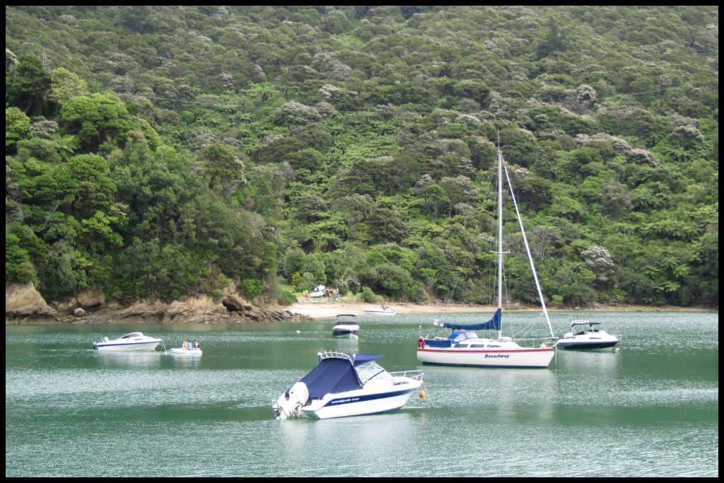 Boats bob in the green water surrounding Havelock in the Marlborough Sounds.