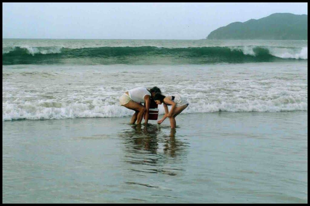 Father and daughter crouch in the surf as they dig with their hands for tuatuas.