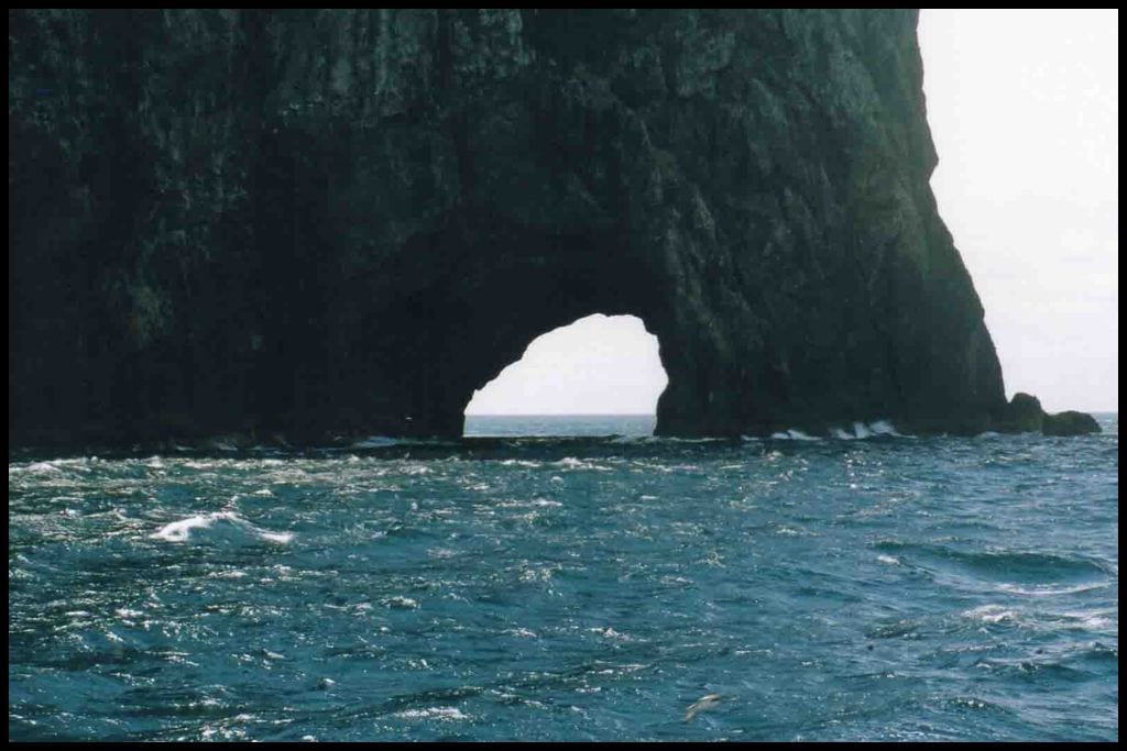 The Hole in the Rock looms out of the ocean offshore from Paihia.