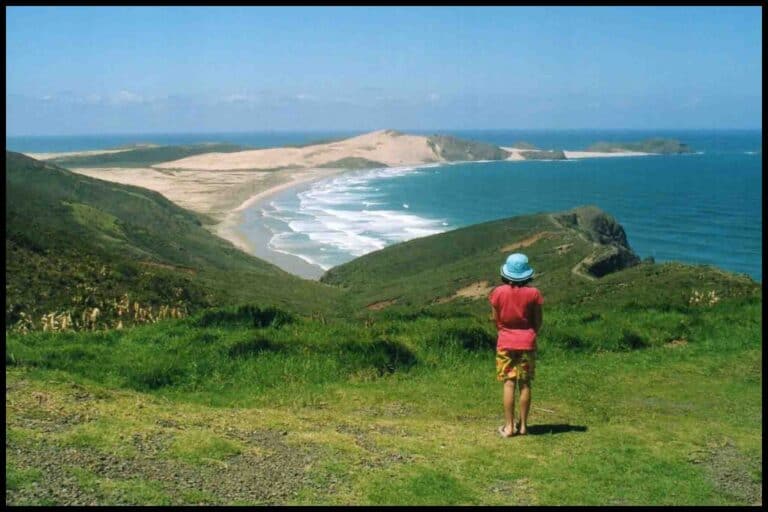 Where Are The Best Beaches In Northland, New Zealand?