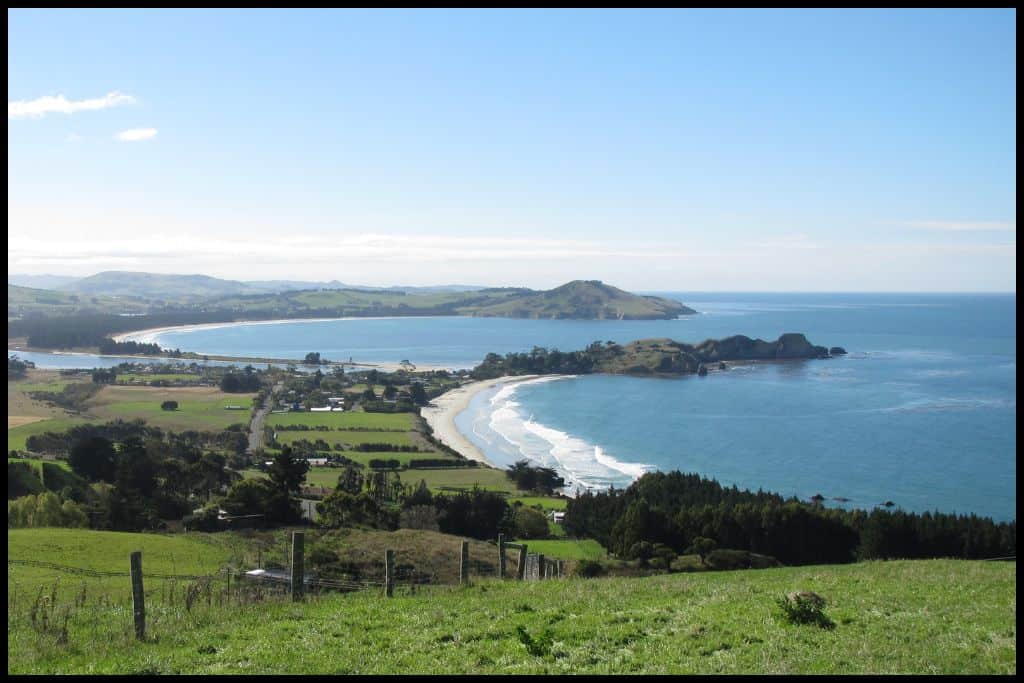 A vibrant scene pictured from a hill top shows two North Dunedin beaches with their blue surf.