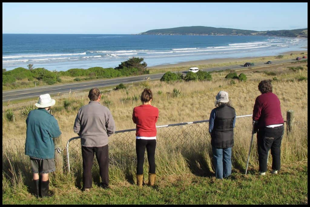 Five figures stand in front of a fence and a highway, looking out to sea and to the Moeraki Peninsula.