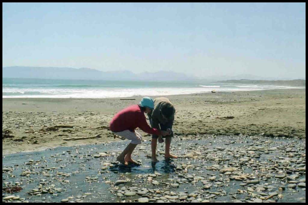 Two children focus on collecting rocks from an Invercargill beach.