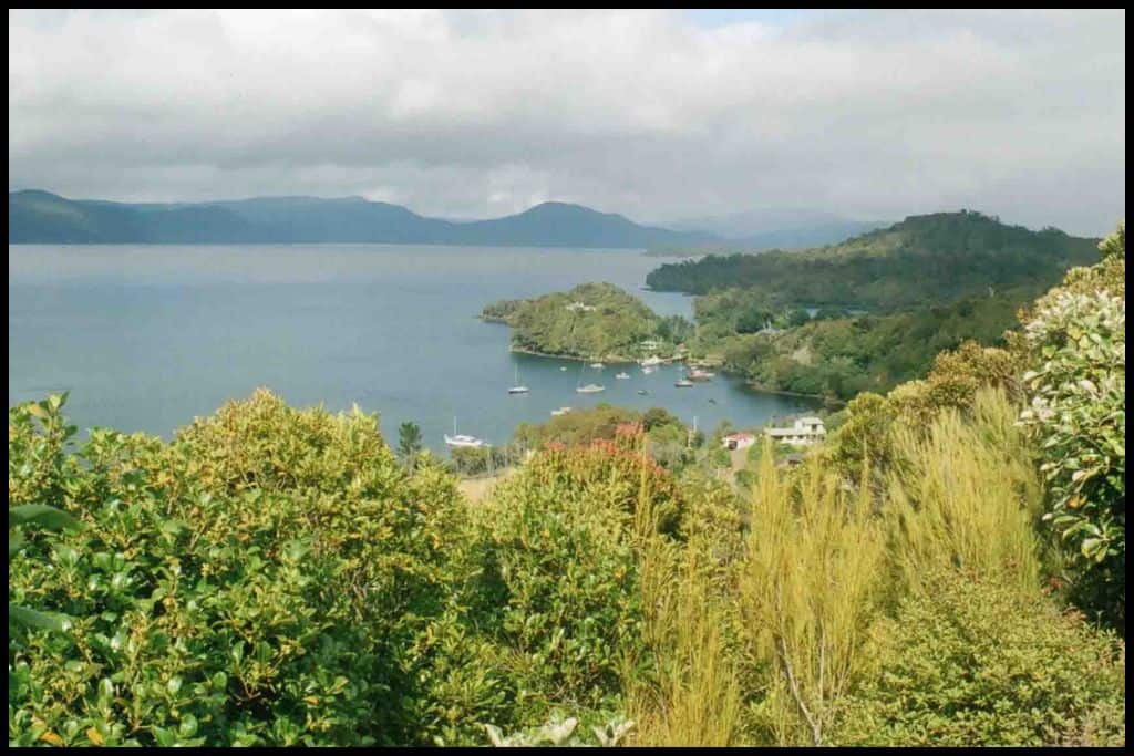 Foliage in the foreground obscures views out to Half Moon Bay below.