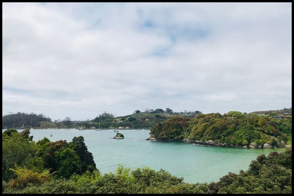 Foliage shrouds the foreground and view out into Half Moon Bay.
