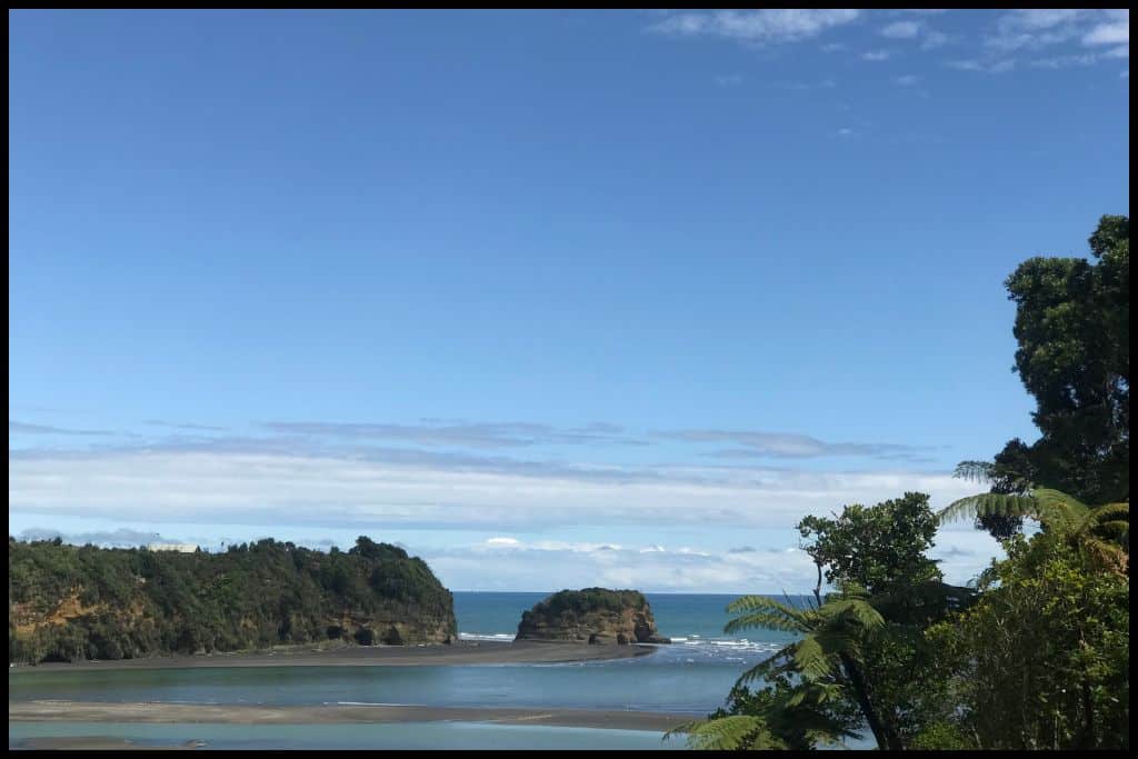 Tongaporutu Beach and Elelphant Rock at low tide, taken with some foliage in the foreground.