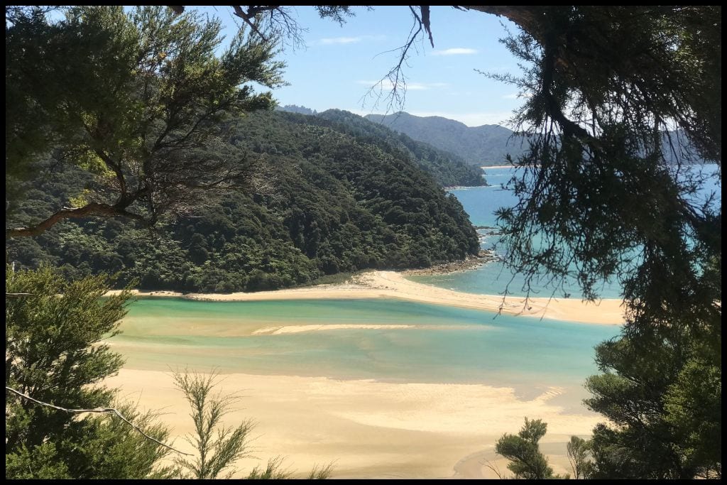 A peek through surrounding foliage shows the turquoise water of the Awaroa Estuary below as the tide comes in.