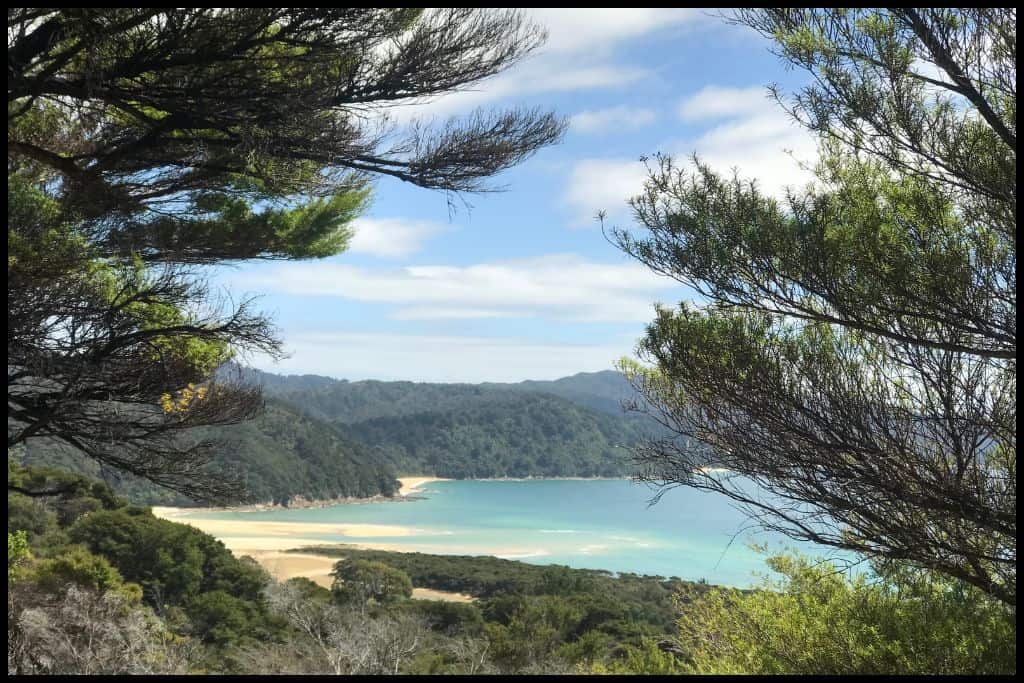 A peek through foliage shows Awaroa Estuary at low tide in the distance.