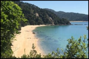 A high angle view of an Abel Tasman National Park beach shows the clarity of the water.