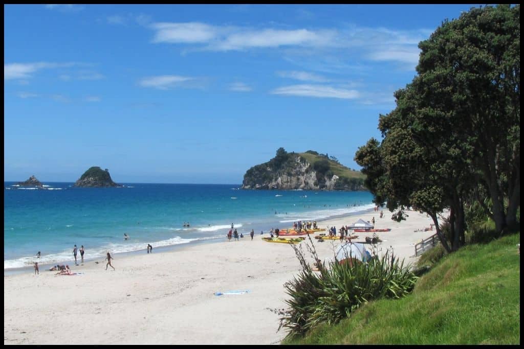 White sand and turquoise water - a view of Hahei Beach.