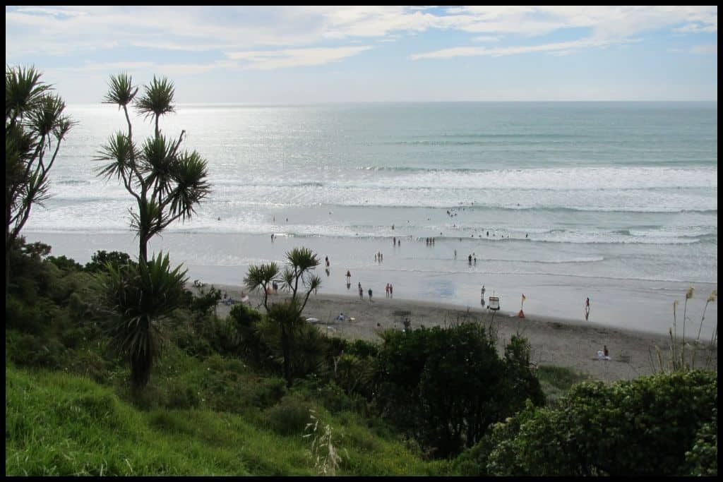 A high angle shot of Ngarunui Beach from the lookout on the hill above shows all the little surfers as dots in the water.