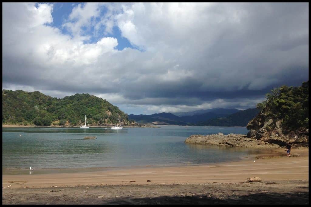 Low tide at Little Waikawau Beach: green water, golden sand, and hardly anyone in sight.