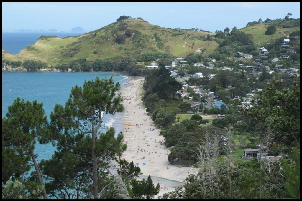 Hahei Beach from above, with people dotted all over the sand.