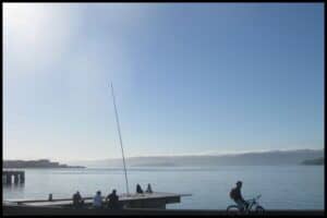 Wellington waterfront, with a clear blue sky and people silhouetted along the water line.